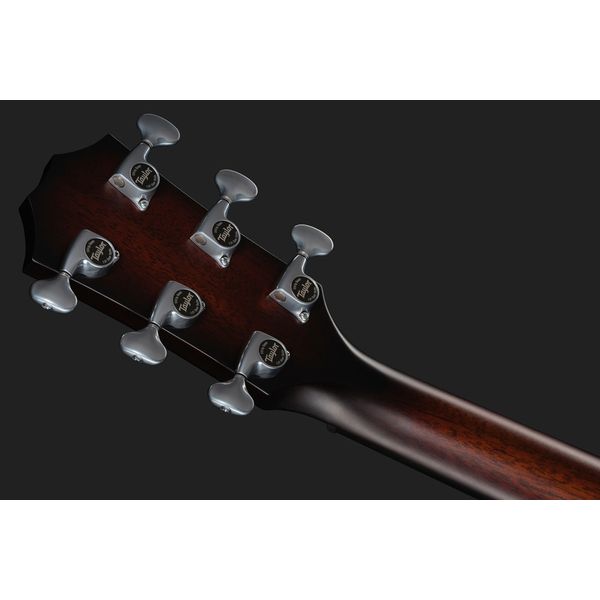 Taylor Builders Edition 524ce NG