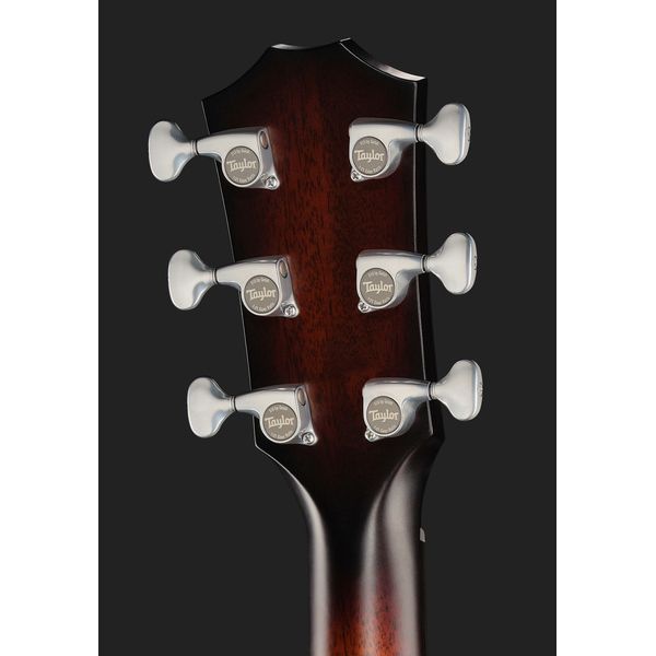 Taylor Builders Edition 524ce NG