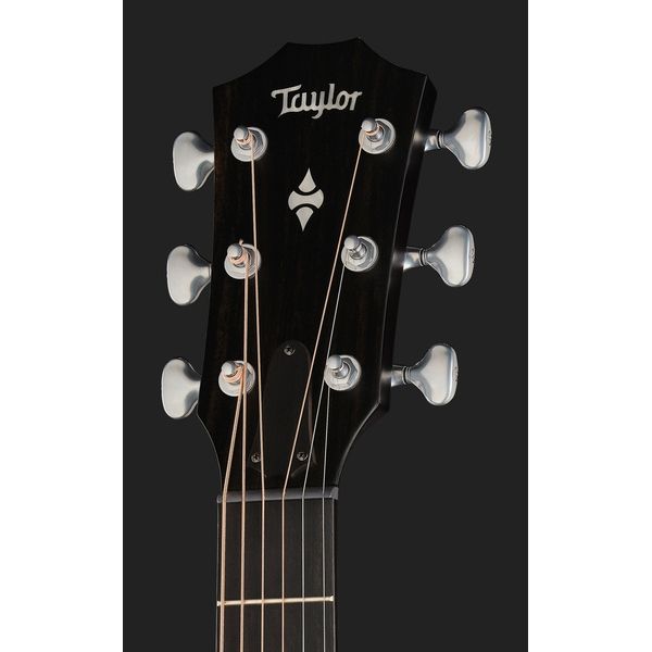 Taylor Builders Edition 524ce NG