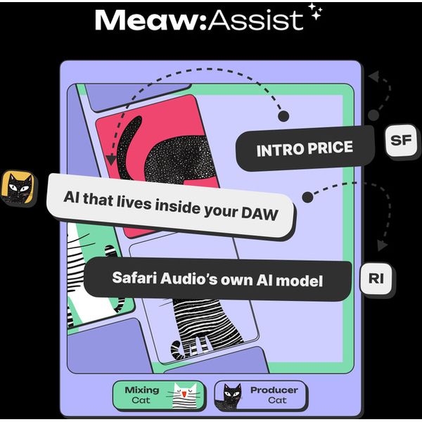 Safari Audio MEAW:Assist