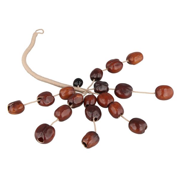 Thomann Seed Shaker Pala