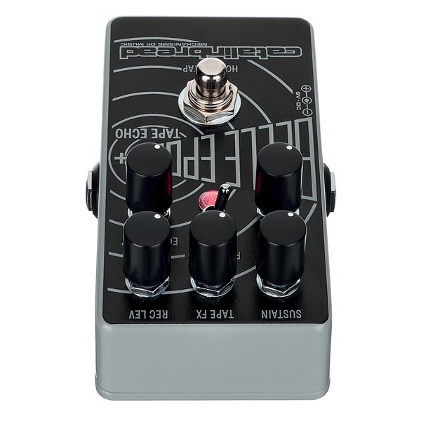 Catalinbread Belle Epoch+ Tape Echo