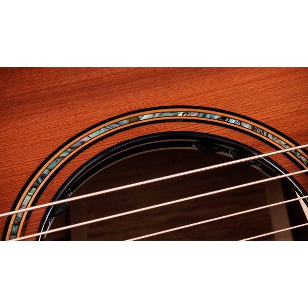 Taylor Builders Edition 914ce RW/RD N