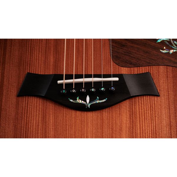 Taylor PS14ce HRW/Sinker Redwood NG