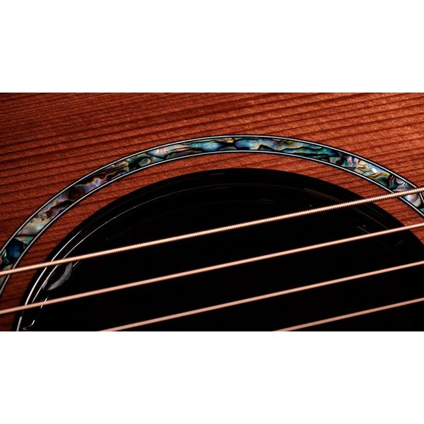 Taylor PS14ce HRW/Sinker Redwood NG