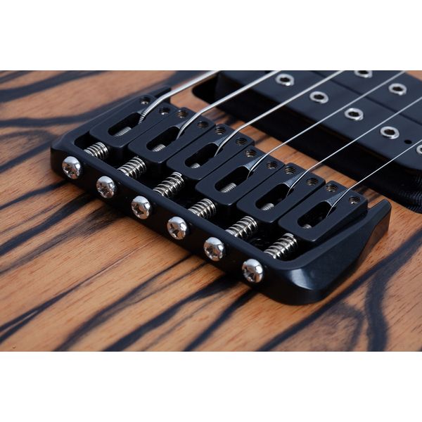 Schecter C-1 Pale Moon SNBB