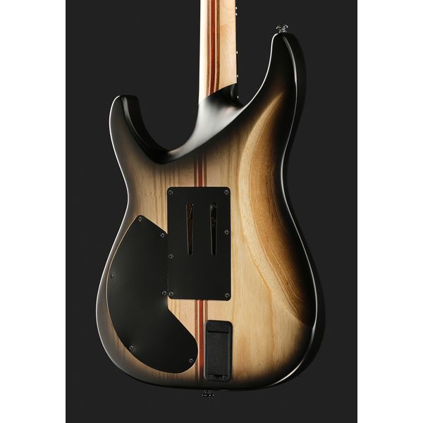 Schecter C-1 FR S Pale Moon SNBB