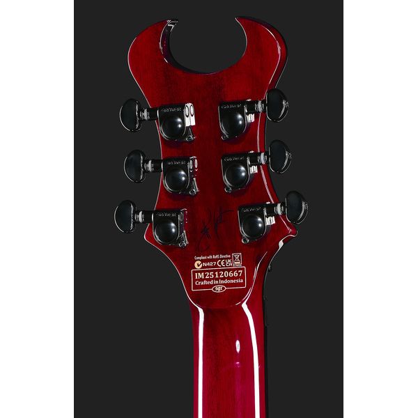 Schecter Synyster Std Plus FR TDR
