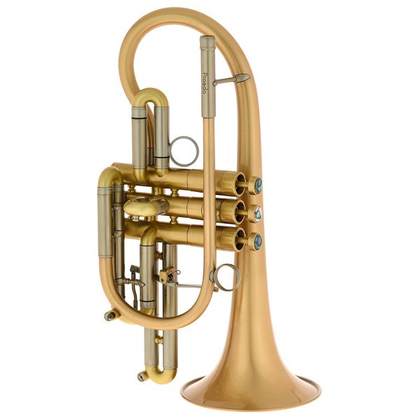 Martin Böhme Praedo Bb-Cornet