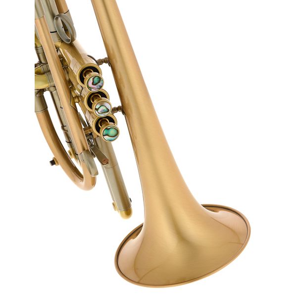 Martin Böhme Praedo Bb-Cornet