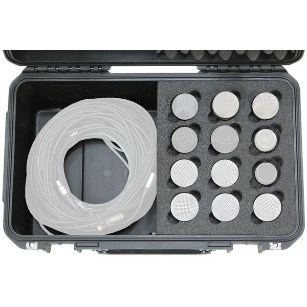 SKB iSeries 12-Mic Case