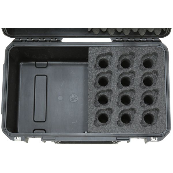 SKB iSeries 12-Mic Case