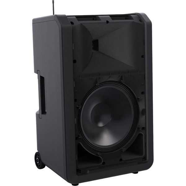 LD Systems ANNY 12 BPH B5