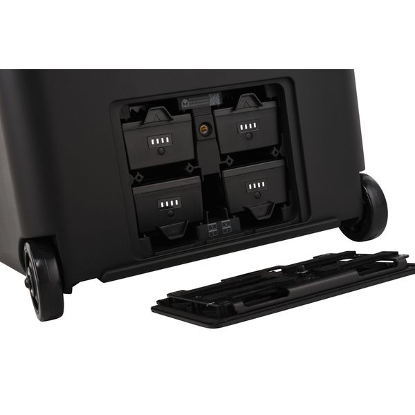 LD Systems ANNY 12 BPH B5