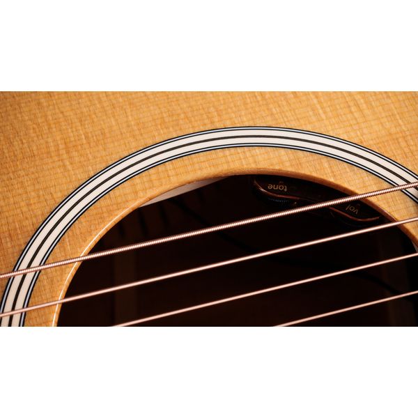 Taylor Gold Label 512e