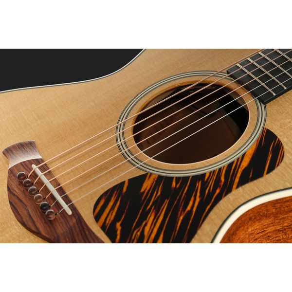 Taylor Gold Label 512e