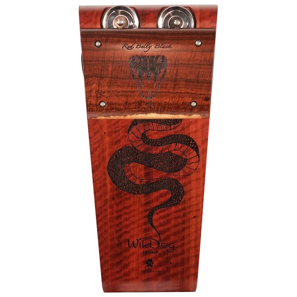 Wild Dog Red Belly Black