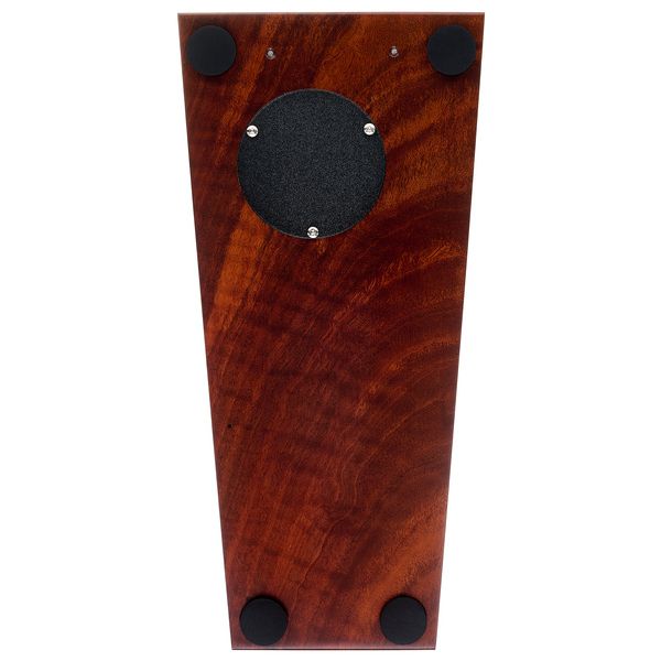 Wild Dog Red Belly Black