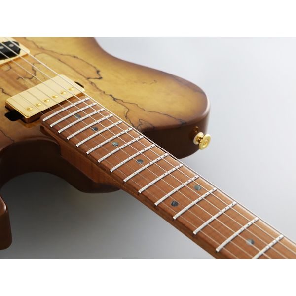 FGN Expert Iliad EW HCB