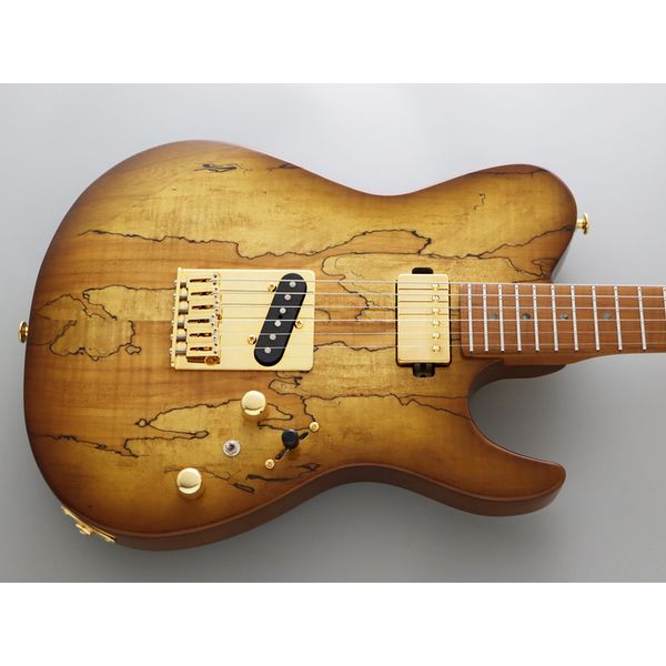 FGN Expert Iliad EW HCB