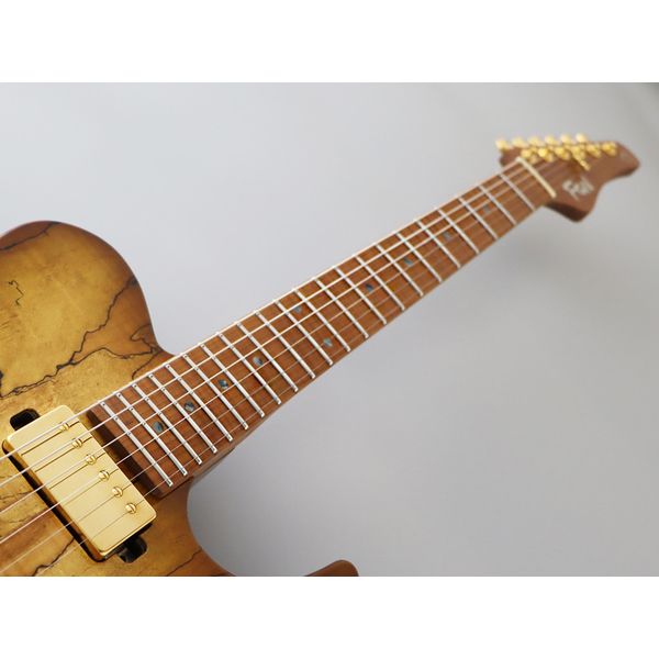 FGN Expert Iliad EW HCB