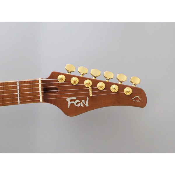 FGN Expert Iliad EW HCB