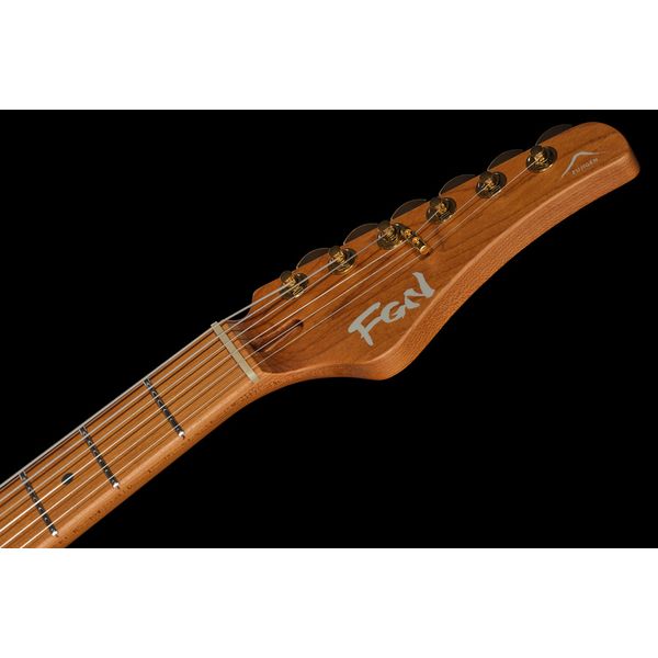 FGN Expert Iliad EW HCB