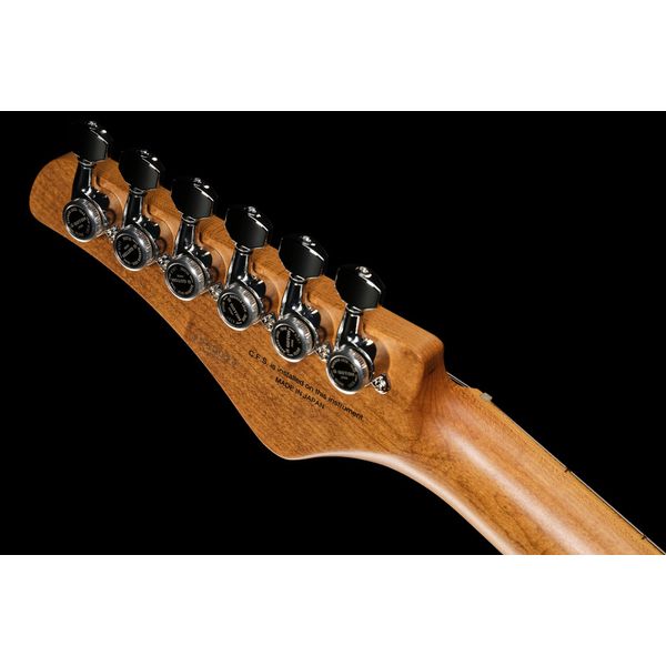 FGN Expert Iliad Thinline VNT