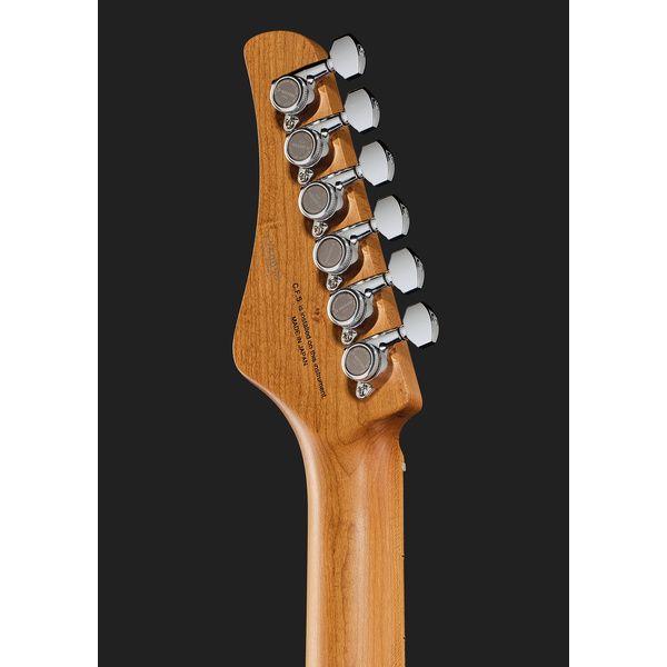 FGN Expert Iliad Thinline VNT