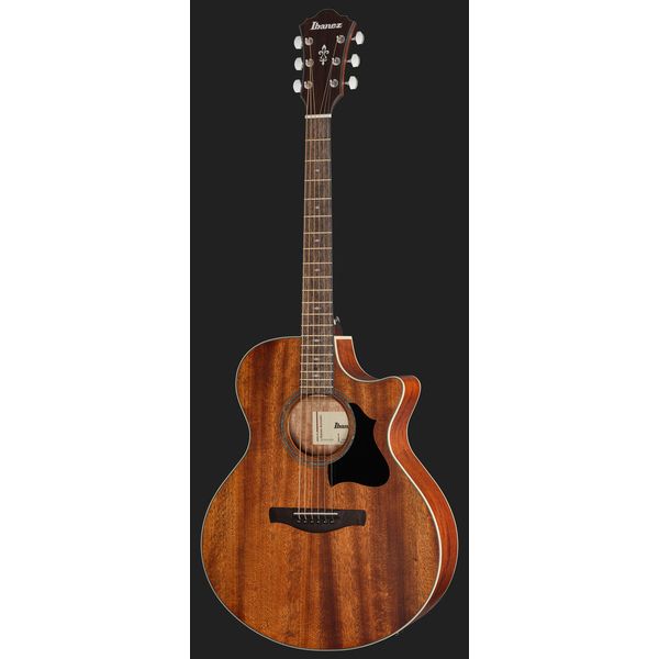 Ibanez AE140-OPN