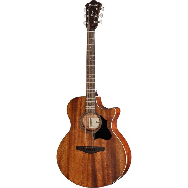 Ibanez AE140-OPN