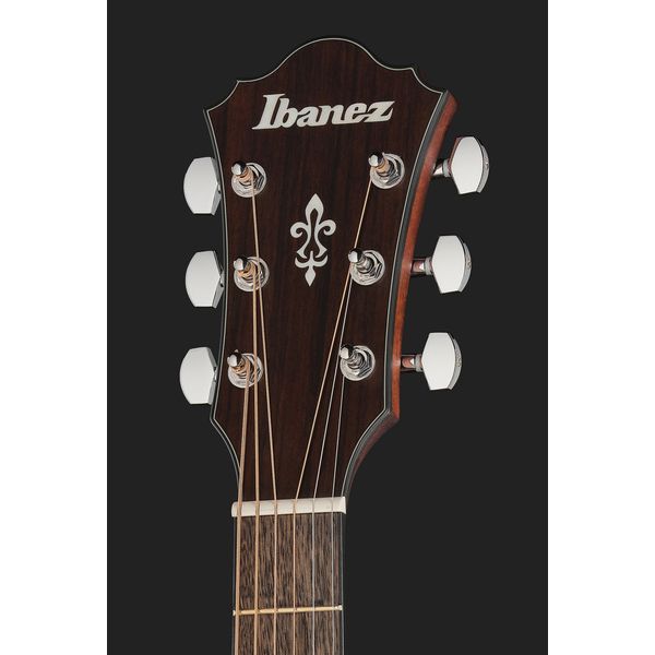 Ibanez AE140-OPN