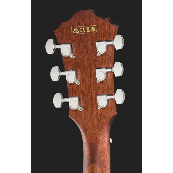 Ibanez AE140-OPN