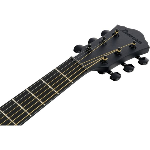 Ibanez AEWC621L-BOT