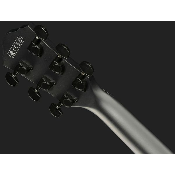 Ibanez AEWC621L-BOT