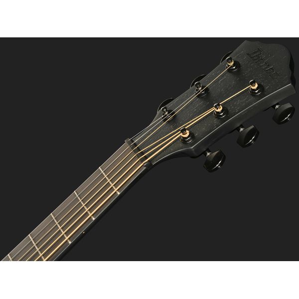 Ibanez AEWC621L-BOT