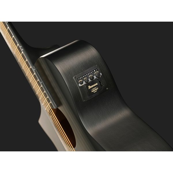 Ibanez AEWC621L-BOT