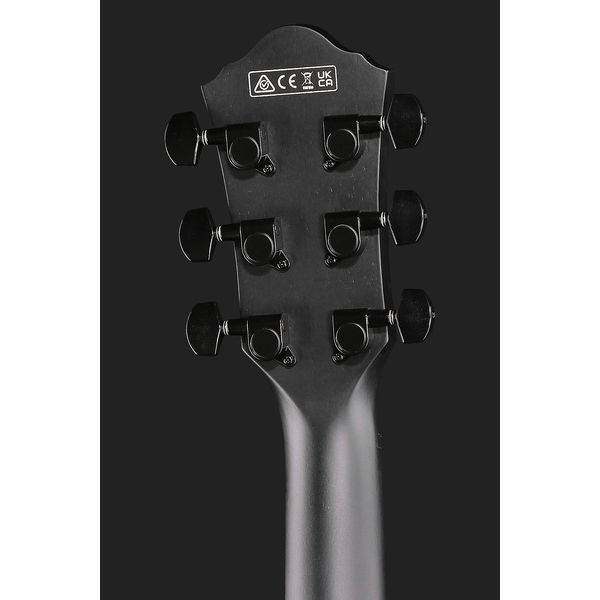 Ibanez AEWC621L-BOT