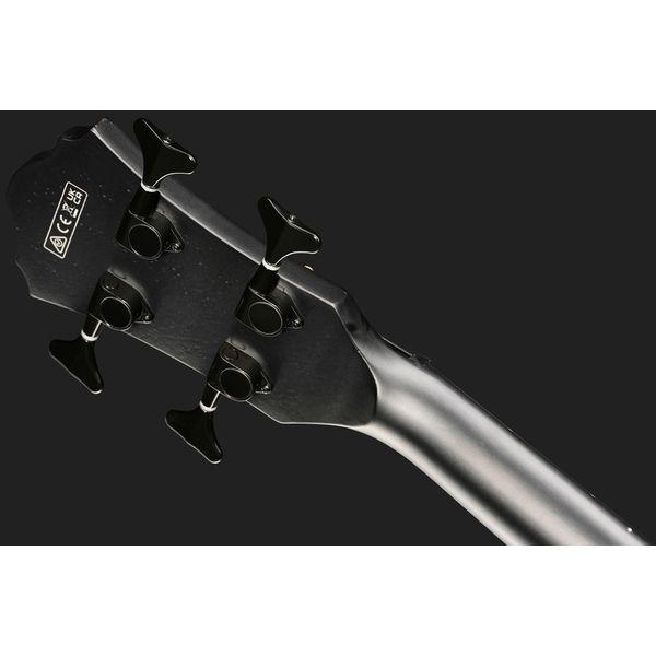 Ibanez AEGB420-BOT