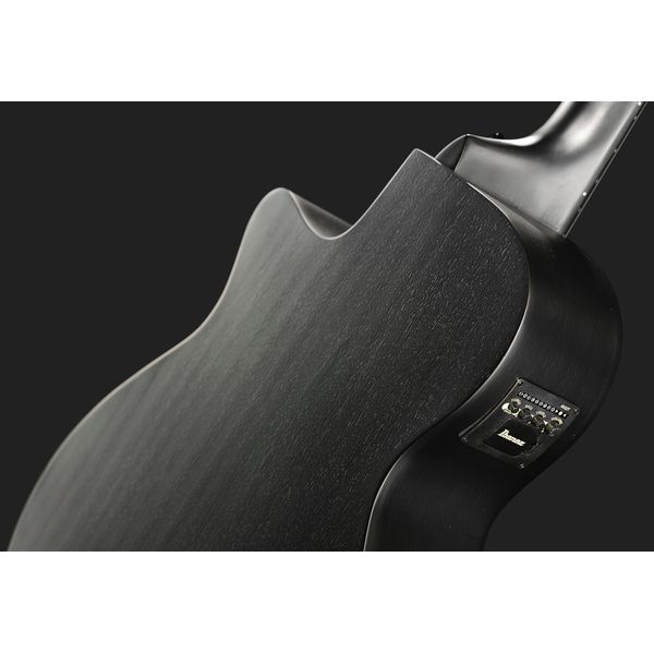 Ibanez AEGB420-BOT