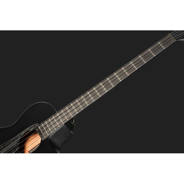 Ibanez AEGB420-BOT