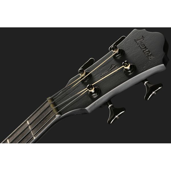 Ibanez AEGB420-BOT