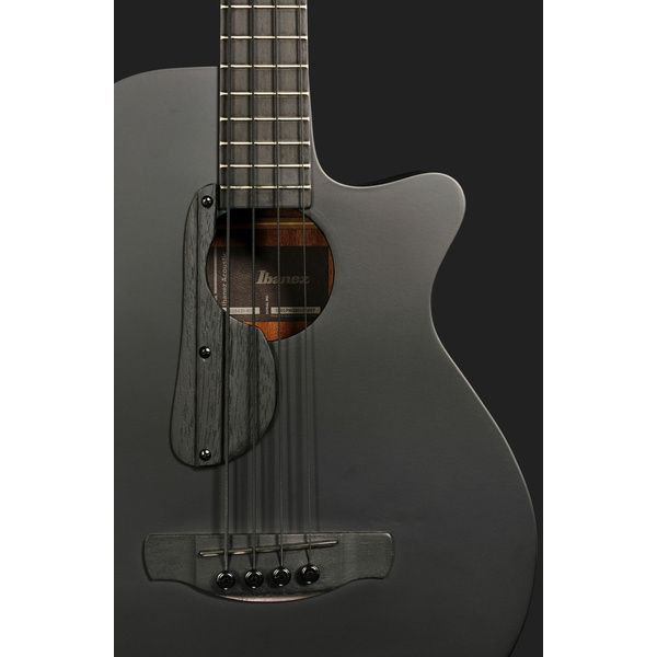 Ibanez AEGB420-BOT