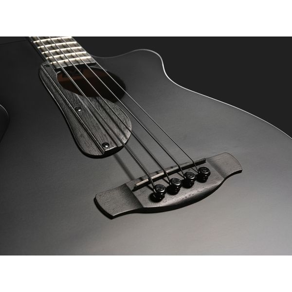 Ibanez AEGB420-BOT