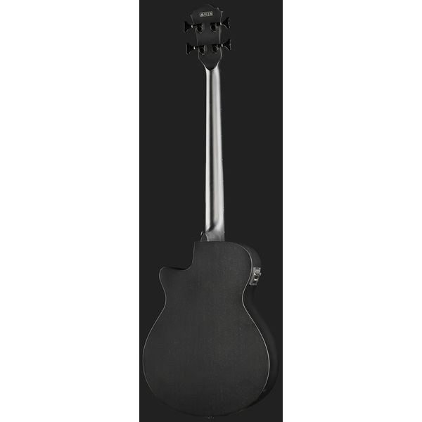 Ibanez AEGB420-BOT