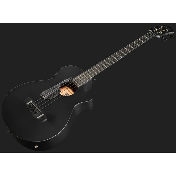 Ibanez AEGB420-BOT