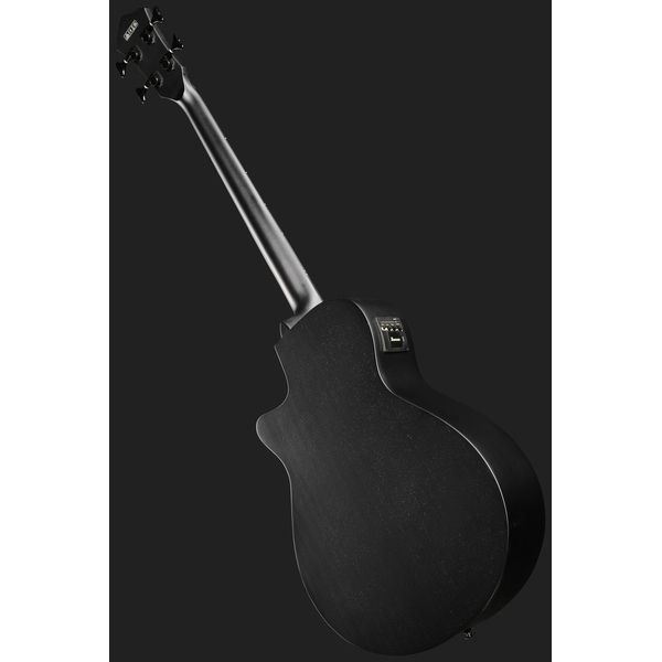 Ibanez AEGB420-BOT