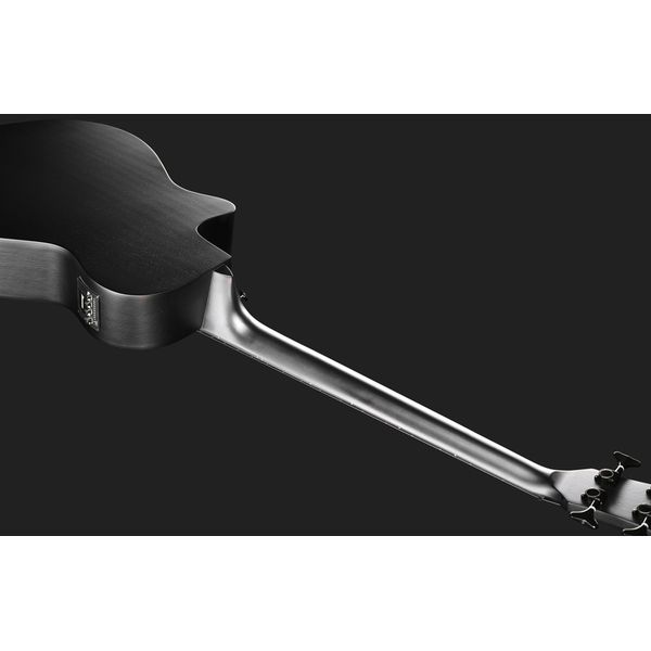 Ibanez AEGB420-BOT