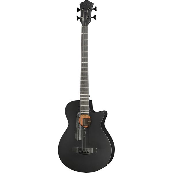 Ibanez AEGB420-BOT