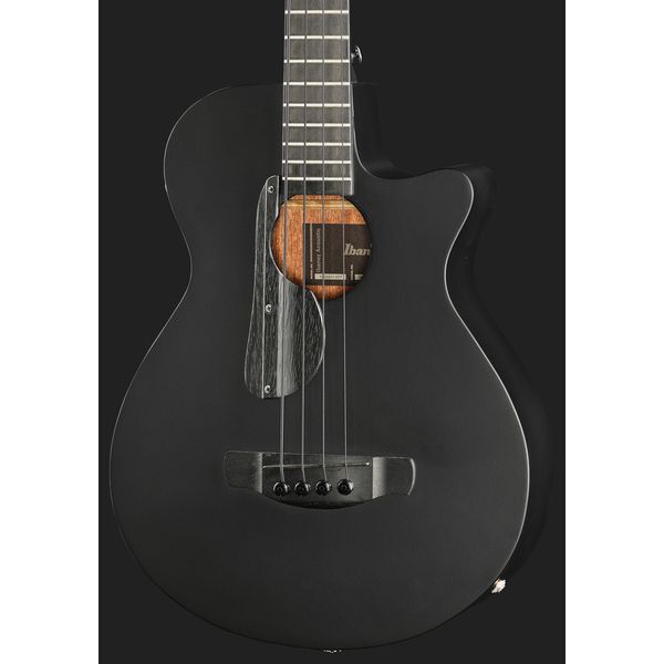 Ibanez AEGB420-BOT